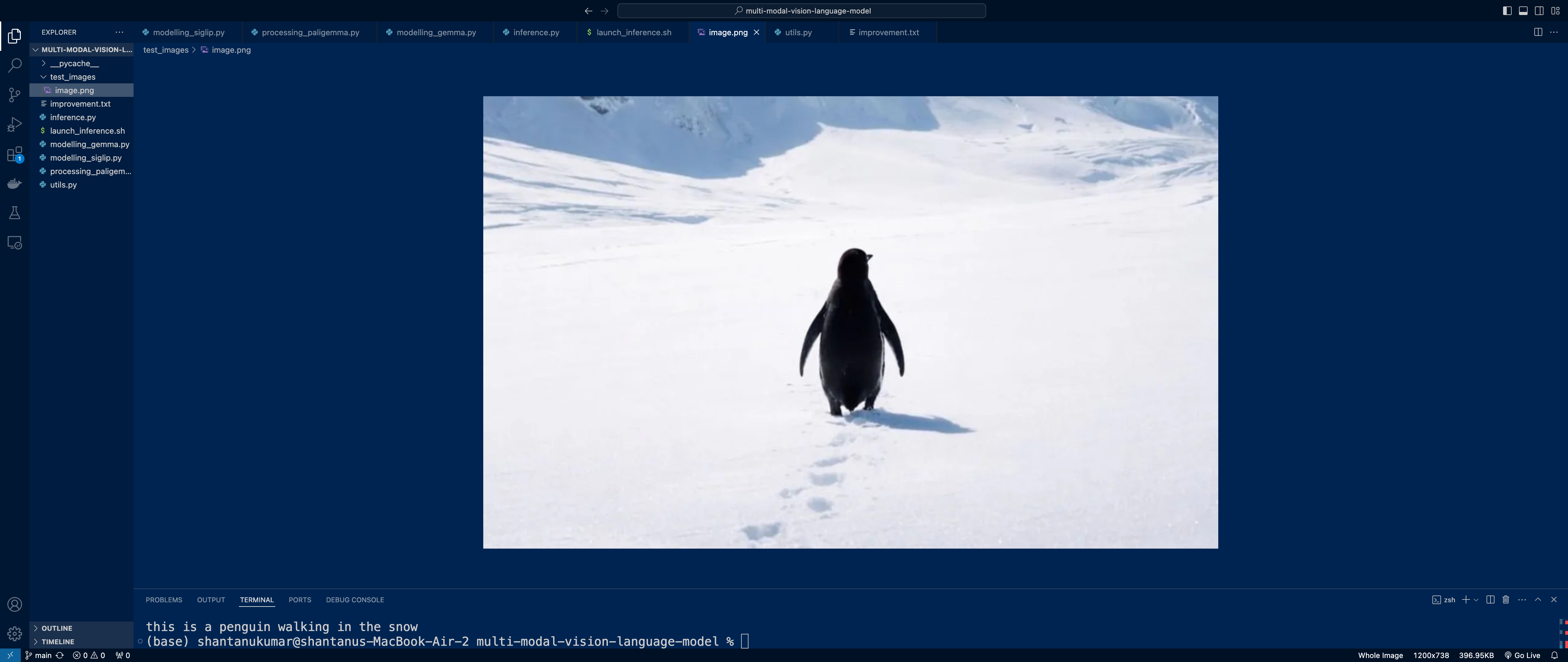 Vision-Language Transformer